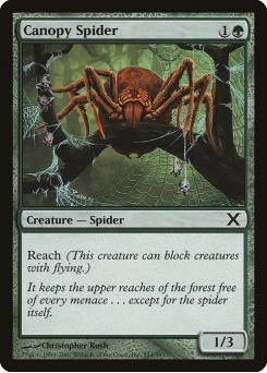 Aranha Baldaquina