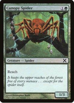 Canopy Spider