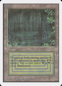 Bayou