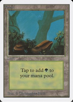 Forest