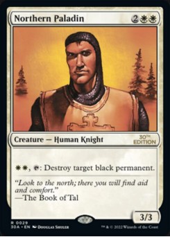 Northern Paladin
