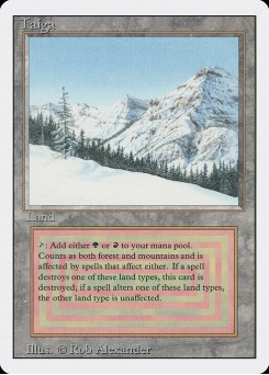 Taiga