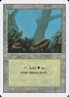 Forest