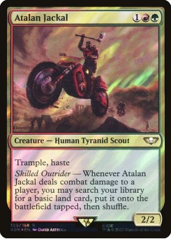 Atalan Jackal