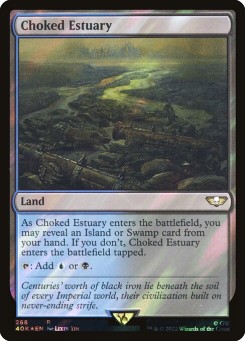 Choked Estuary