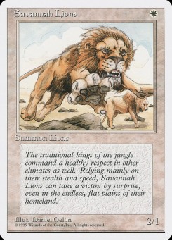 Leões da Savana