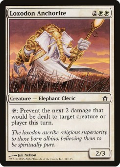 Ermitão Loxodonte