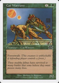 Guerreiros Felinos