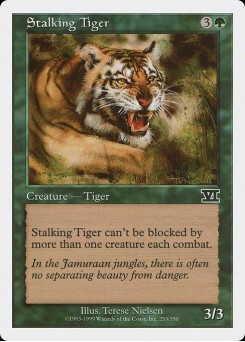 Tigre Caçador