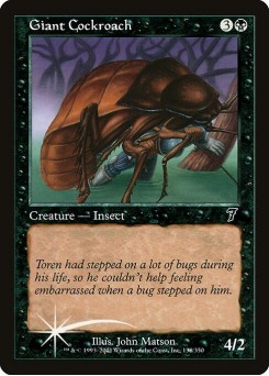 Giant Cockroach