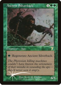 Ancient Silverback