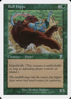 Hipopótamo Macho