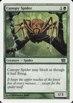 Aranha Baldaquina