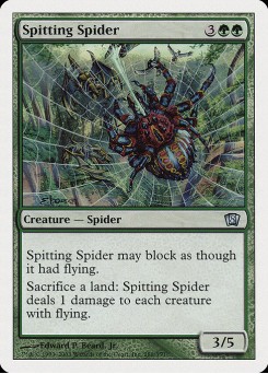 Aranha Cuspideira