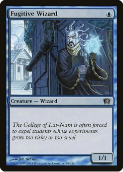 Fugitive Wizard