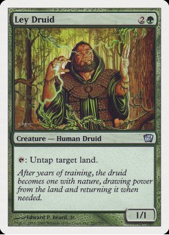 Druida da Pradaria
