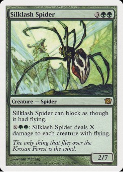 Aranha do Chicote de Seda