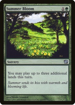 Summer Bloom