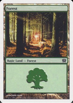Floresta
