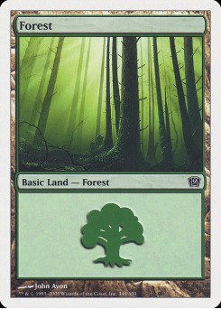 Floresta