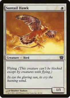 Suntail Hawk