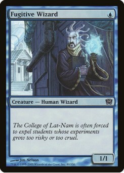 Fugitive Wizard