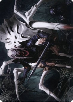 Drider // Drider