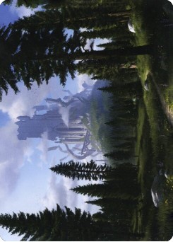 Forest // Forest
