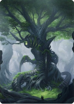 Forest // Forest