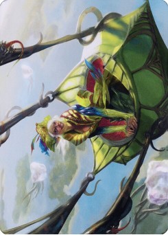 Nael, Avizoa Aeronaut // Nael, Avizoa Aeronaut