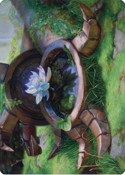 Timeless Lotus // Timeless Lotus