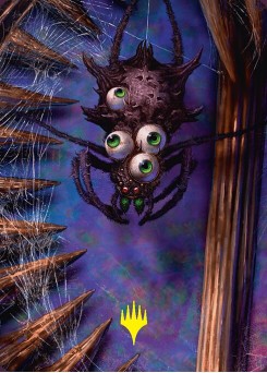 Spider // Spider