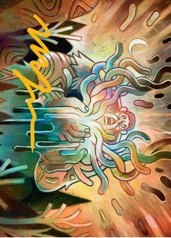 Aurora Awakener // Aurora Awakener