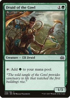 Druida do Capote