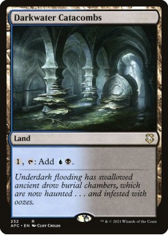 Catacumbas de Darkwater