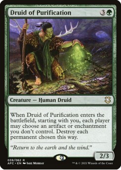 Druida da Purificação