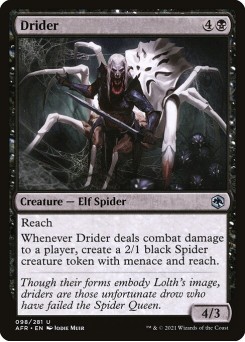 Draider