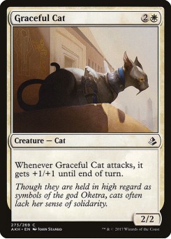 Gato Gracioso