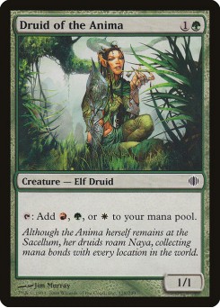 Druida de Anima