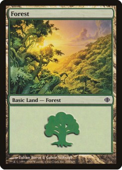 Floresta