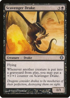 Dragonete Rapace