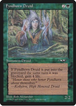Druida de Fyndhorn