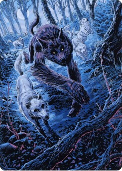 Untamed Pup // Untamed Pup