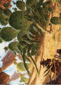 Cactarantula // Cactarantula
