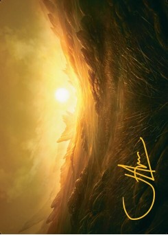 Plains // Plains