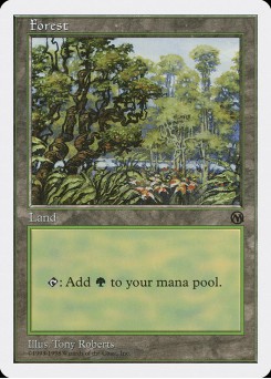 Forest