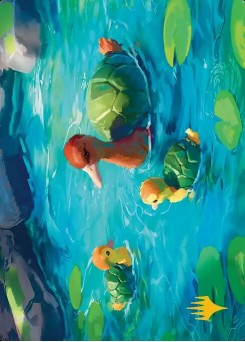 Turtle-Duck // Turtle-Duck