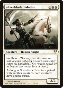 Paladino da Espada de Prata