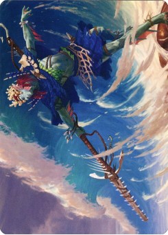 Tazeem Roilmage // Tazeem Roilmage