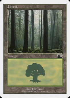 Forest